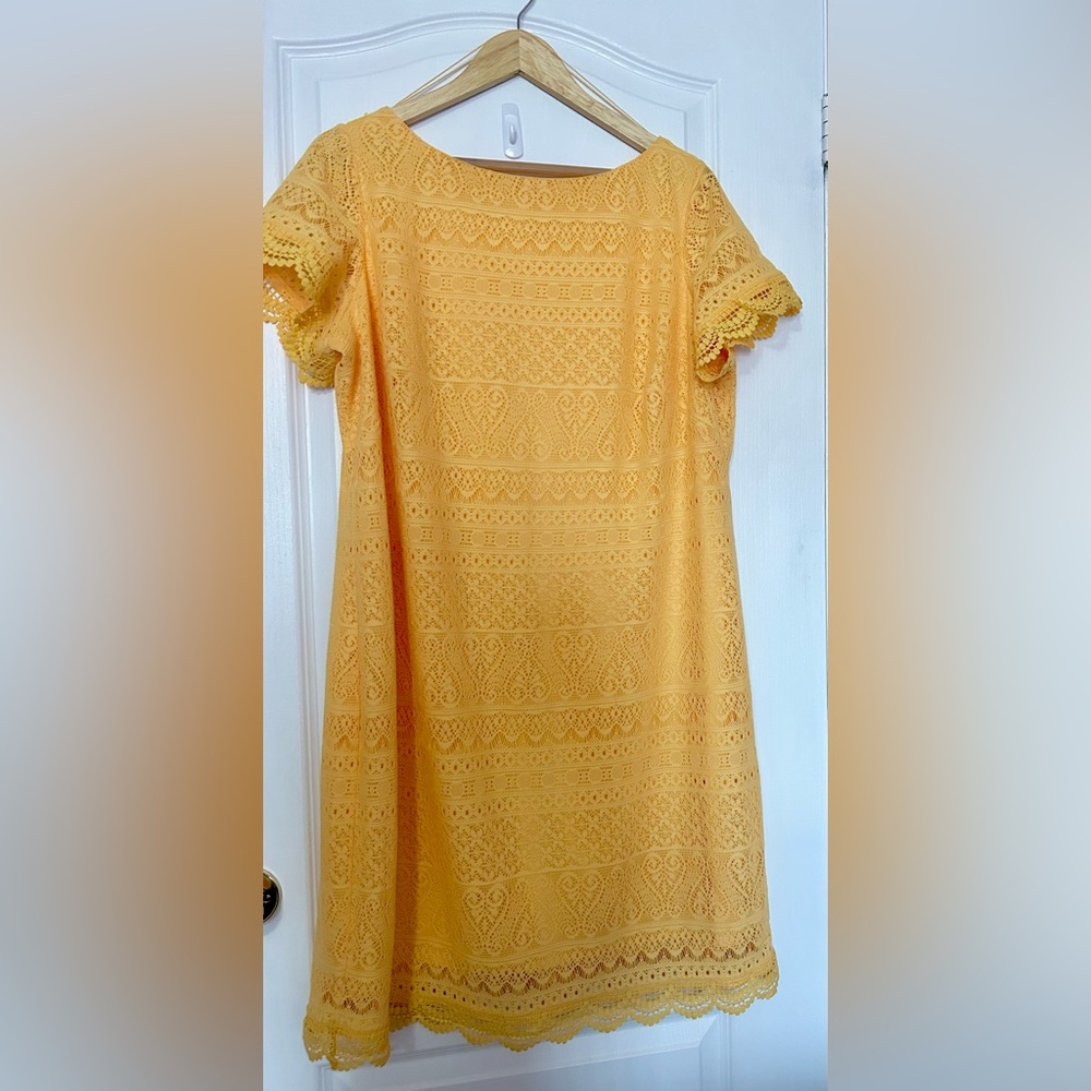London Times Yellow Lace Dress Size 16W